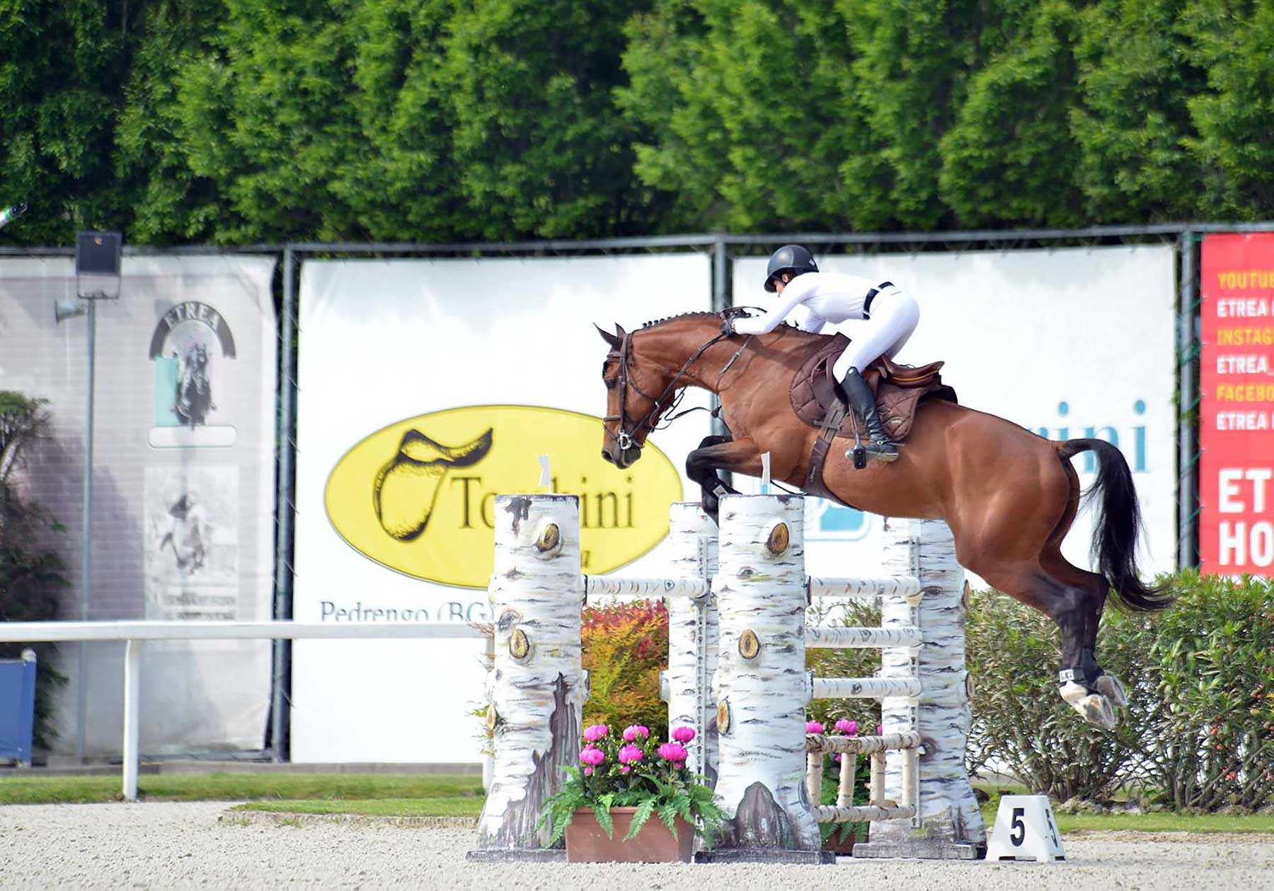 Stage salto ostacoli Jumping Viadana